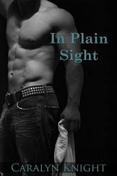 Icon image In Plain Sight: An Erotic Fantasy