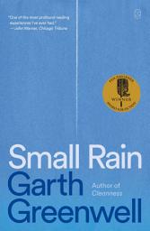 Icon image Small Rain: A Novel