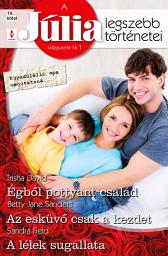 Icon image A Júlia legszebb történetei 19. kötet (Egyedülálló apa megosztaná…): Égből pottyant család, Az esküvő csak a kezdet, A lélek sugallata