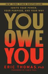 Icon image You Owe You: Ignite Your Power, Your Purpose, and Your Why