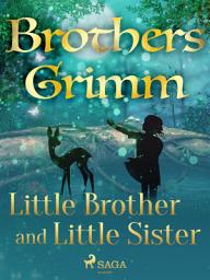 Icon image Little Brother and Little Sister: Volume 11