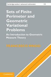 Icon image Sets of Finite Perimeter and Geometric Variational Problems: An Introduction to Geometric Measure Theory