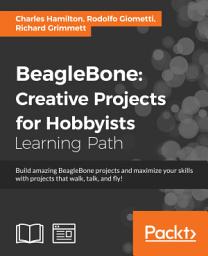 Icon image BeagleBone: Creative Projects for Hobbyists