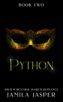 Icon image
