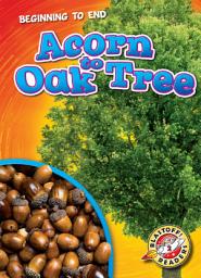 Icon image Acorn to Oak Tree