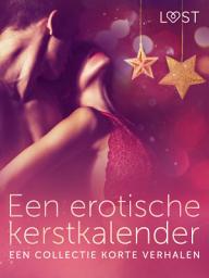 Icon image Een erotische kerstkalender: een collectie korte verhalen