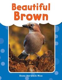 Icon image Beautiful Brown
