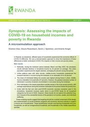 Icon image Synopsis: Assessing the impacts of COVID-19 on household incomes and poverty in Rwanda: A microsimulation approach