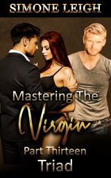 Icon image Triad: A BDSM Menage Erotic Thriller
