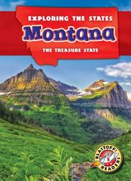 Icon image Montana