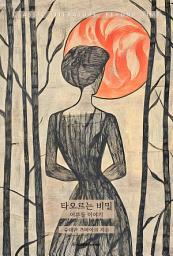 Icon image 타오르는 비밀 : 어른들 이야기: 고전 문학, 시간을 넘어