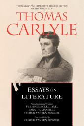 Icon image Essays on Literature
