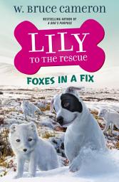 Icon image Lily to the Rescue: Foxes in a Fix