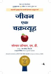 Icon image Out of the Maze (Marathi)