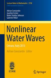 Icon image Nonlinear Water Waves: Cetraro, Italy 2013
