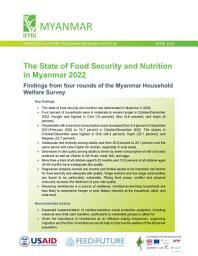 Icon image The state of food security and nutrition in Myanmar 2022: Findings from four rounds of the Myanmar Household Welfare Survey