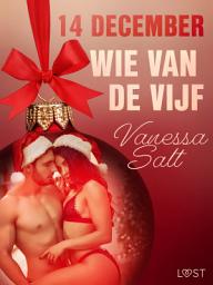 Icon image 14 december: Wie van de vijf – een erotische adventskalender: Volume 14