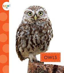 Icon image Owls: Read Along or Enhanced eBook