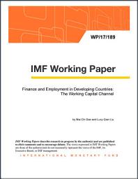 Icon image Finance and Employment in Developing Countries: The Working Capital Channel