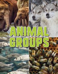 Icon image Animal Groups
