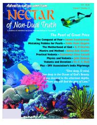 Icon image Nectar #11: The Pearl of Great Price