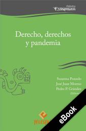 Icon image Derecho, derechos y pandemia