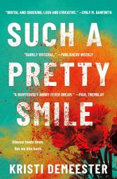 Icon image Such a Pretty Smile: A Novel