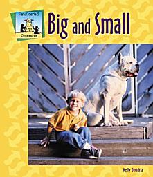 Icon image Big-Small