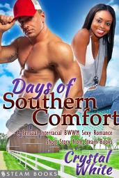 Icon image Days of Southern Comfort - A Sensual Interracial BWWM Sexy Romance Short Story from Steam Books