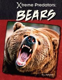 Icon image Bears