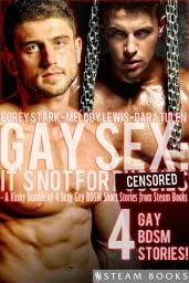 Icon image Gay Sex: It's Not For... - A Kinky Bundle of 4 Sexy Gay BDSM Short Stories from Steam Books