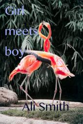 Icon image Girl Meets Boy