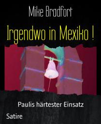 Icon image Irgendwo in Mexiko !: Paulis härtester Einsatz