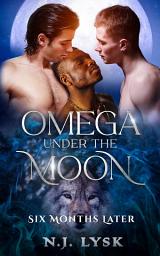 Icon image Omega Under the Moon: Six months later