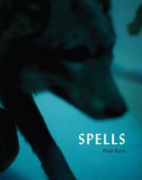 Icon image Spells: A Novel Within Photographs