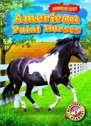 Icon image American Paint Horses