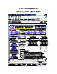 Icon image Hieroglyphs & Diagrams (computer-generated outer-art)