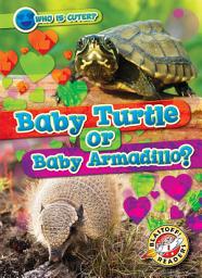 Icon image Baby Turtle or Baby Armadillo?