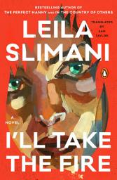 Icon image I'll Take the Fire: A Novel