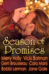 Icon image Season of Promises Holiday Box Set: Season of series