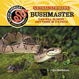 Icon image Bushmaster Snake: Can Kill Almost Anything In Its Path