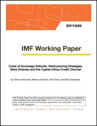 Icon image Costs of Sovereign Defaults: Restructuring Strategies, Bank Distress and the Capital Inflow-Credit Channel