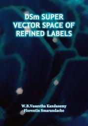Icon image DSm Super Vector Space of Refined Labels
