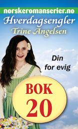 Icon image Hverdagsengler 20 - Din for evigl