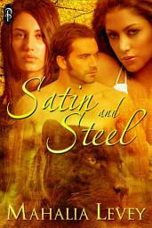 Icon image Satin and Steel