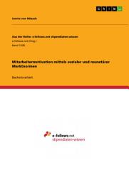 Icon image Mitarbeitermotivation mittels sozialer und monetärer Marktnormen