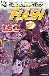Icon image The Flash (2010)
