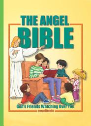 Icon image Angel Stories in the Bible