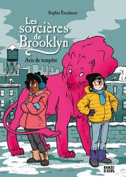 Icon image Les sorcières de Brooklyn: Avis de tempête