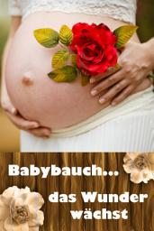 Icon image Babybauch...das Wunder wächst: Alles rund um Schwangerschaft, Geburt und Babyschlaf! (Schwangerschafts-Ratgeber)